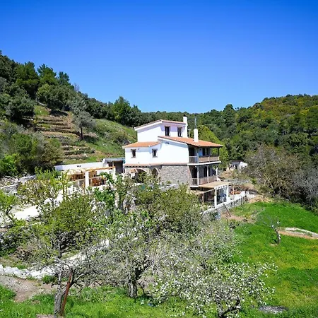 Krio Pigadi